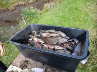 20250927_152136 (1024x768).jpg